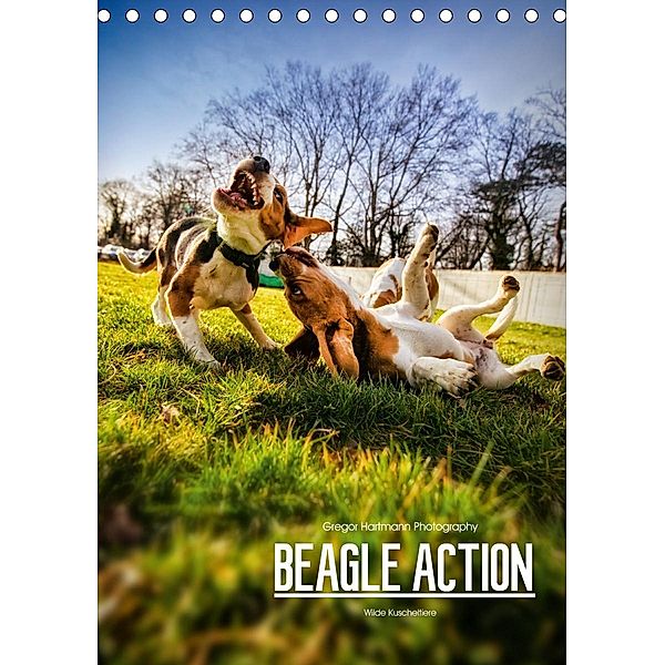 Beagle Action - Wilde Kuscheltiere (Tischkalender 2020 DIN A5 hoch), Gregor Hartmann