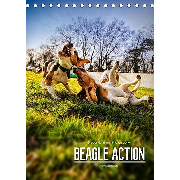Beagle Action - Wilde Kuscheltiere (Tischkalender 2023 DIN A5 hoch), Gregor Hartmann