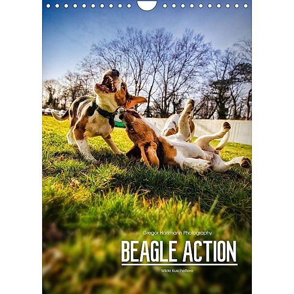 Beagle Action - Wilde Kuscheltiere (Wandkalender 2023 DIN A4 hoch), Gregor Hartmann