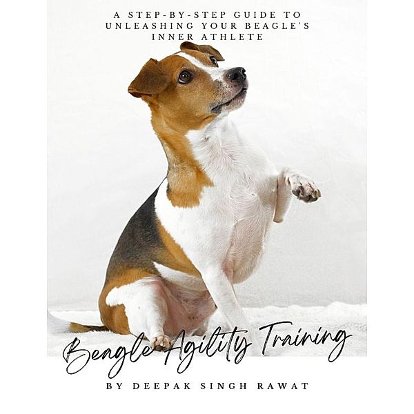 Beagle Agility Training, Deepak Singh Rawat
