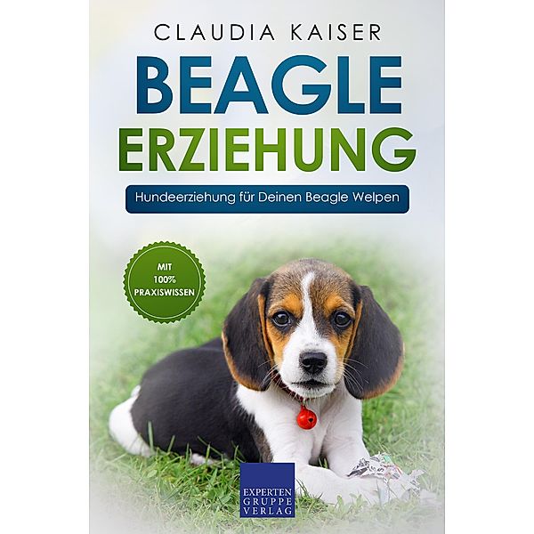 Beagle Erziehung: Hundeerziehung für Deinen Beagle Welpen / Beagle Erziehung Bd.1, Claudia Kaiser