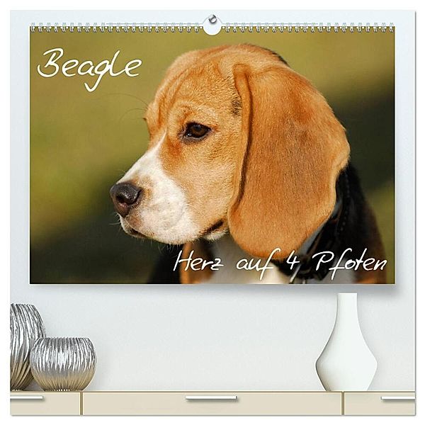 Beagle - Herz auf 4 Pfoten (hochwertiger Premium Wandkalender 2024 DIN A2 quer), Kunstdruck in Hochglanz, Sigrid Starick
