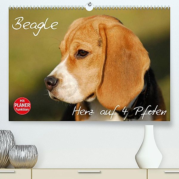 Beagle - Herz auf 4 Pfoten (Premium, hochwertiger DIN A2 Wandkalender 2023, Kunstdruck in Hochglanz), Sigrid Starick