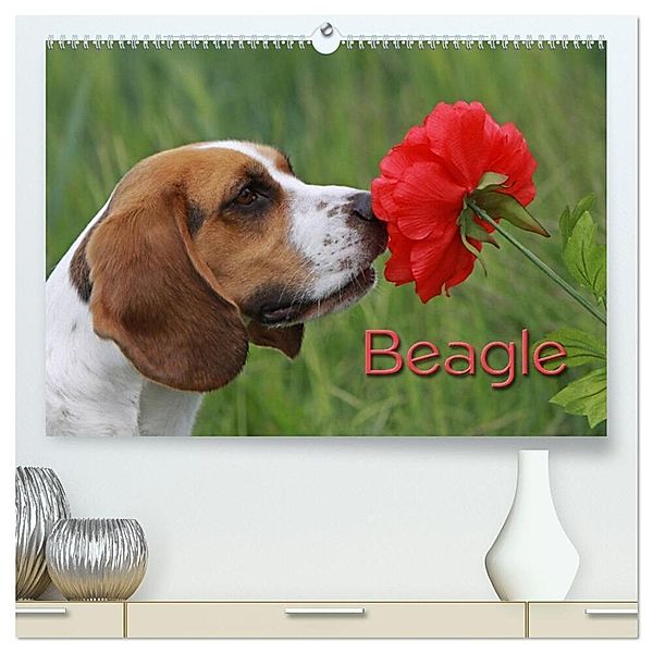 Beagle (hochwertiger Premium Wandkalender 2024 DIN A2 quer), Kunstdruck in Hochglanz, Pferdografen.de