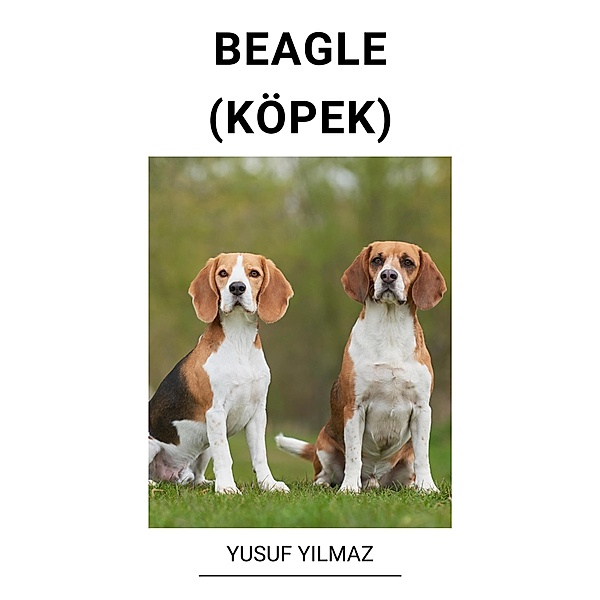 Beagle (Köpek), Yusuf Yilmaz