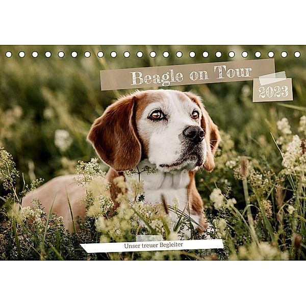 Beagle - Unser treuer Begleiter (Tischkalender 2023 DIN A5 quer), Lea-Isabelle