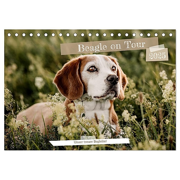 Beagle - Unser treuer Begleiter (Tischkalender 2025 DIN A5 quer), CALVENDO Monatskalender, Calvendo, Lea-Isabelle