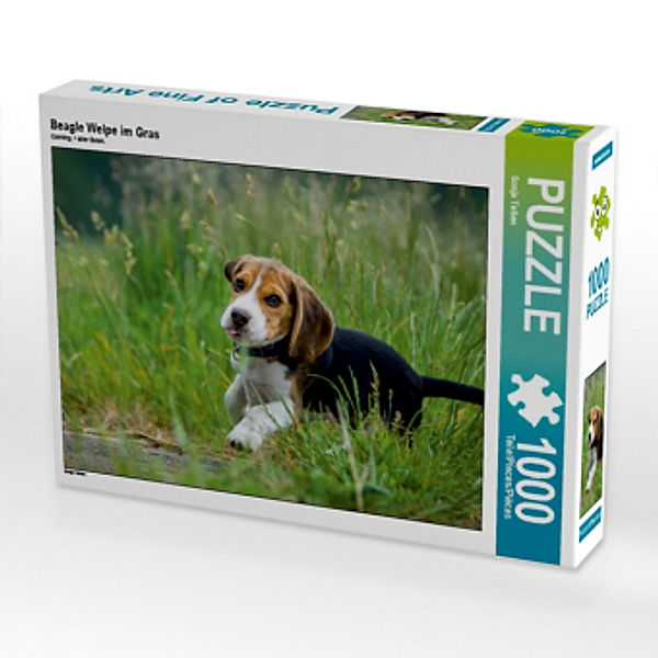 Beagle Welpe im Gras (Puzzle), Sonja Teßen