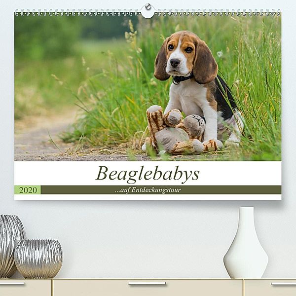 Beaglebabys auf Entdeckungstour (Premium-Kalender 2020 DIN A2 quer), Sonja Teßen