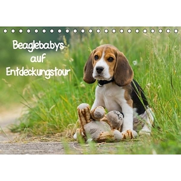Beaglebabys auf Entdeckungstour (Tischkalender 2016 DIN A5 quer), Sonja Teßen