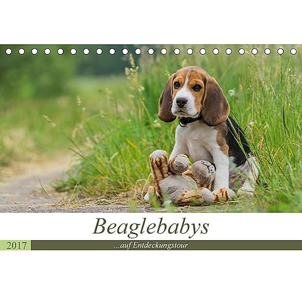 Beaglebabys auf Entdeckungstour (Tischkalender 2017 DIN A5 quer), Sonja Teßen