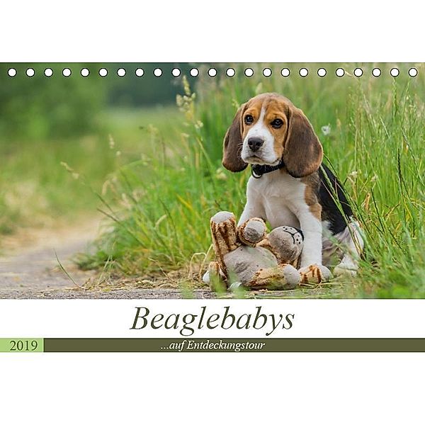 Beaglebabys auf Entdeckungstour (Tischkalender 2019 DIN A5 quer), Sonja Teßen