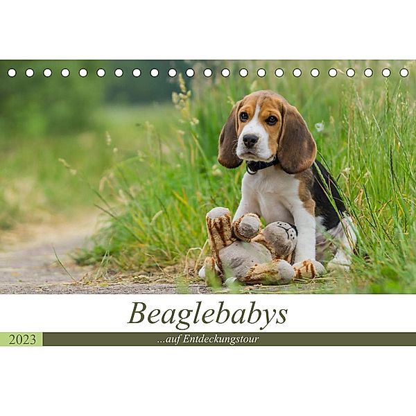 Beaglebabys auf Entdeckungstour (Tischkalender 2023 DIN A5 quer), Sonja Teßen