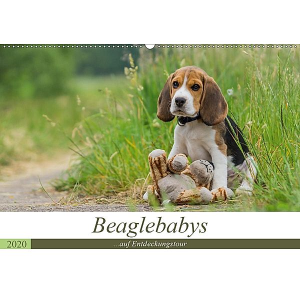 Beaglebabys auf Entdeckungstour (Wandkalender 2020 DIN A2 quer), Sonja Teßen