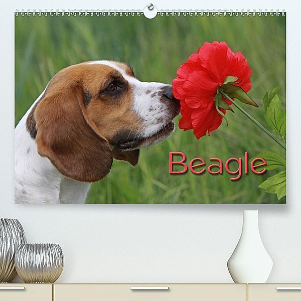 Beagle(Premium, hochwertiger DIN A2 Wandkalender 2020, Kunstdruck in Hochglanz), Pferdografen.de