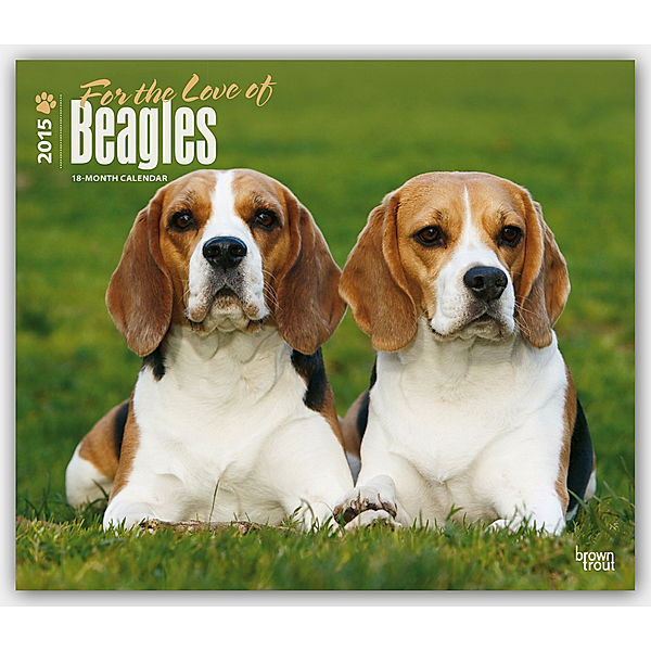 Beagles - For the Love of 2015