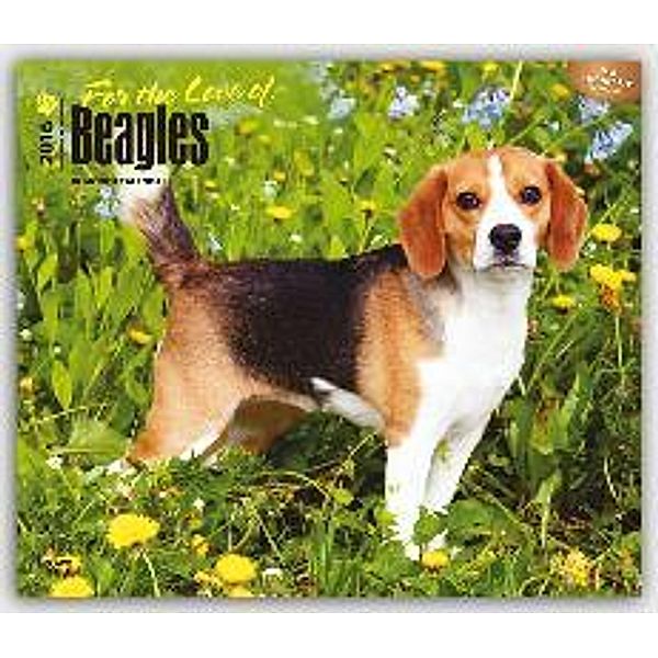 Beagles For the Love of 2016