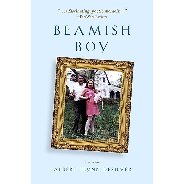 Beamish Boy (I Am Not My Story): A Memoir of Recovery & Awakening, Albert Flynn Desilver