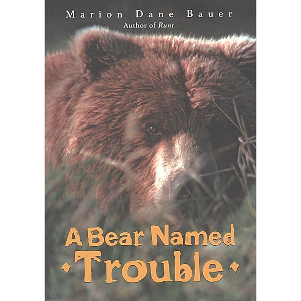 Bear Named Trouble, Marion Dane Bauer