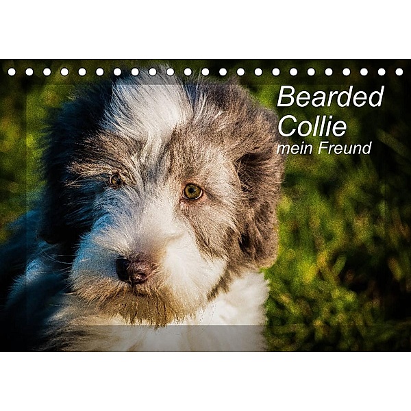 Bearded Collie, mein Freund (Tischkalender 2023 DIN A5 quer), Ula Redl