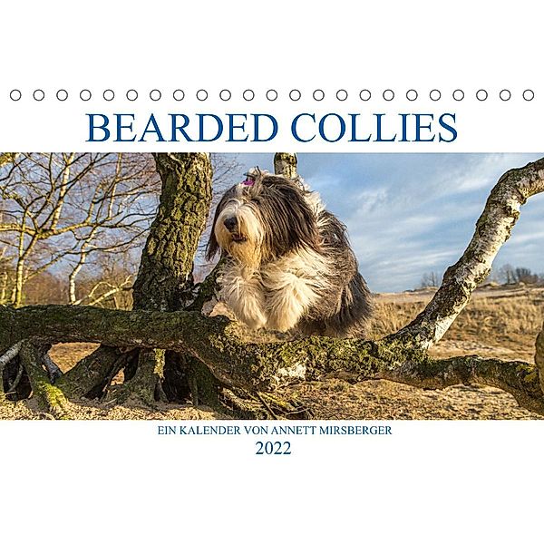 BEARDED COLLIES 2022 (Tischkalender 2022 DIN A5 quer), Annett Mirsberger