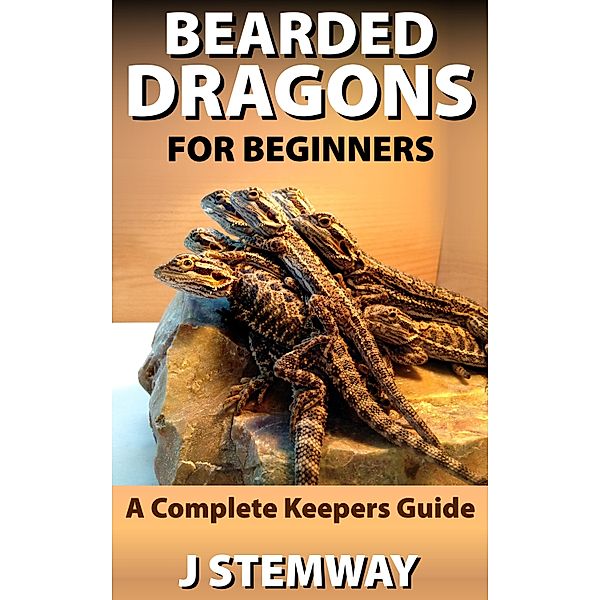 Bearded Dragons for Beginners, ABC Techno