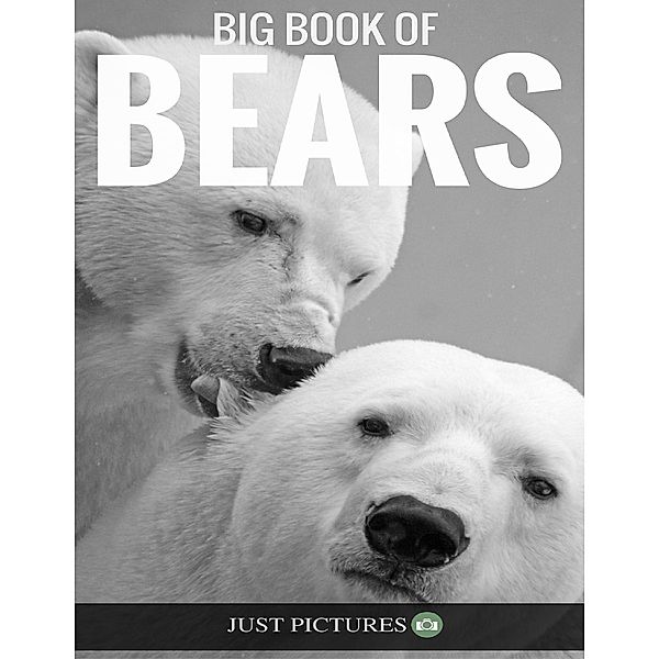 Bears, Just Pictures