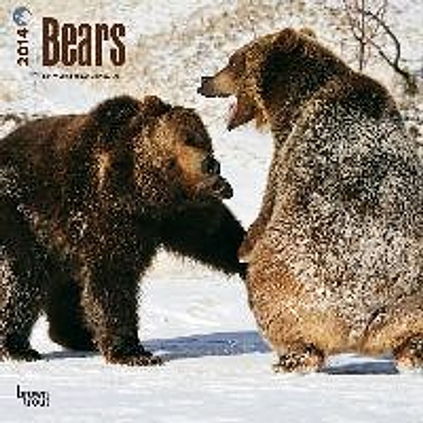 Bears 2014 - Bären