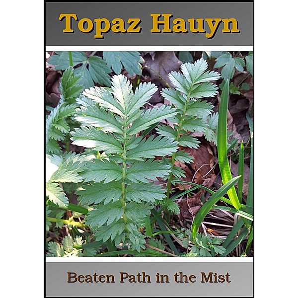 Beaten Path in the Mist, Topaz Hauyn