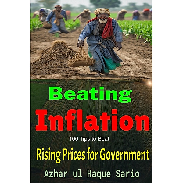 Beating Inflation: 100 Tips to Beat Rising Prices for Government, Azhar ul Haque Sario