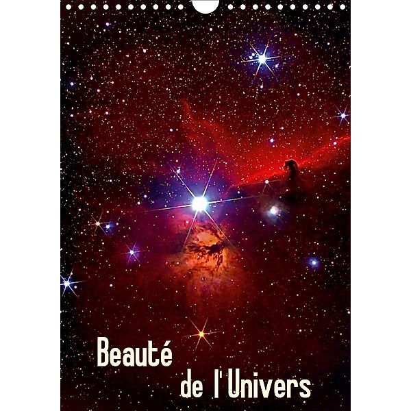 Beauté de l'Univers (Calendrier mural 2021 DIN A4 vertical)