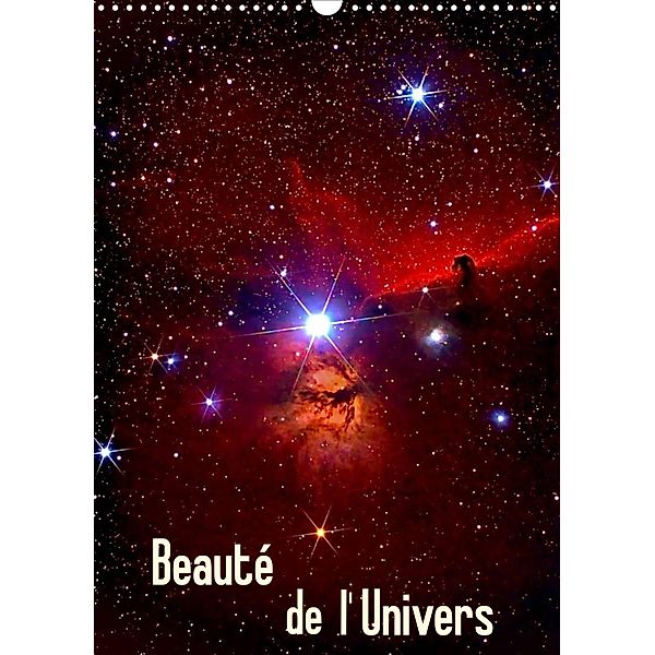 Beauté de l'Univers (Calendrier mural 2023 DIN A3 vertical), MonarchC