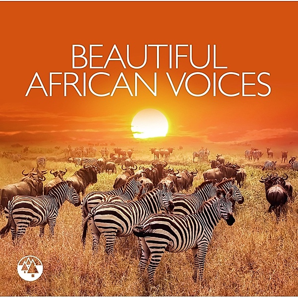 Beautiful African Voices, Diverse Interpreten