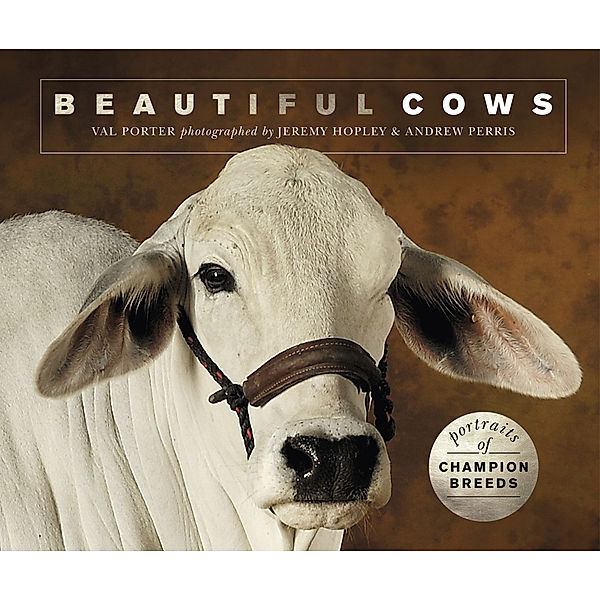 Beautiful Animals / Beautiful Cows, Valerie Porter