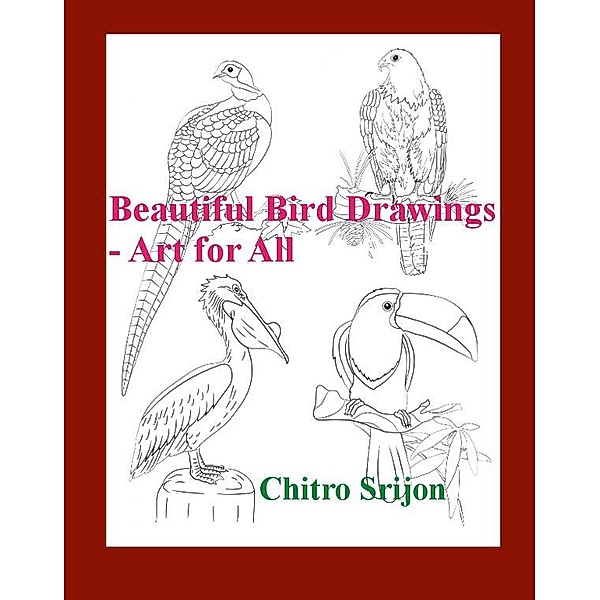 Beautiful Bird Drawings, Chitro Srijon