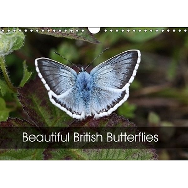 Beautiful British Butterflies (Wall Calendar 2017 DIN A4 Landscape), Chris Downes