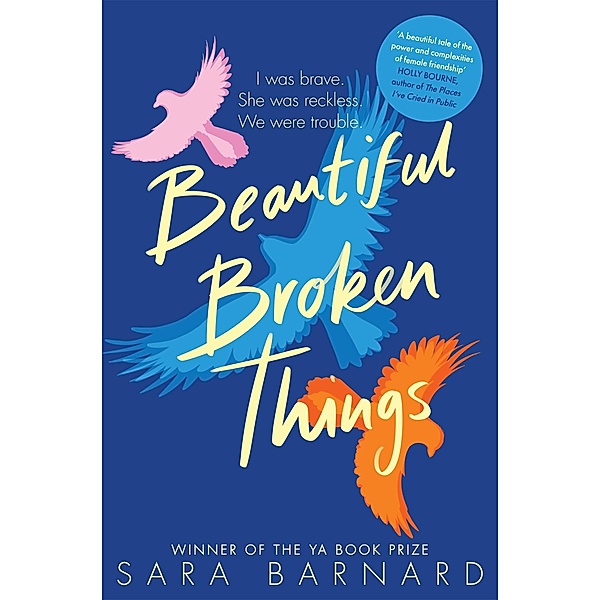 Beautiful Broken Things, Sara Barnard