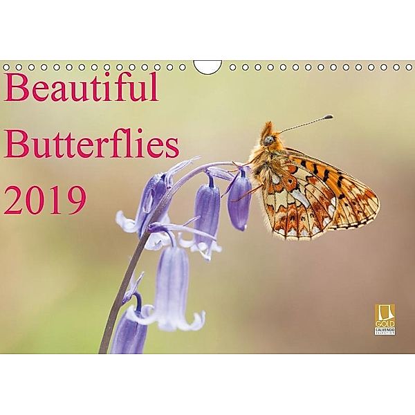 Beautiful Butterflies 2019 (Wall Calendar 2019 DIN A4 Landscape), Phil Corley