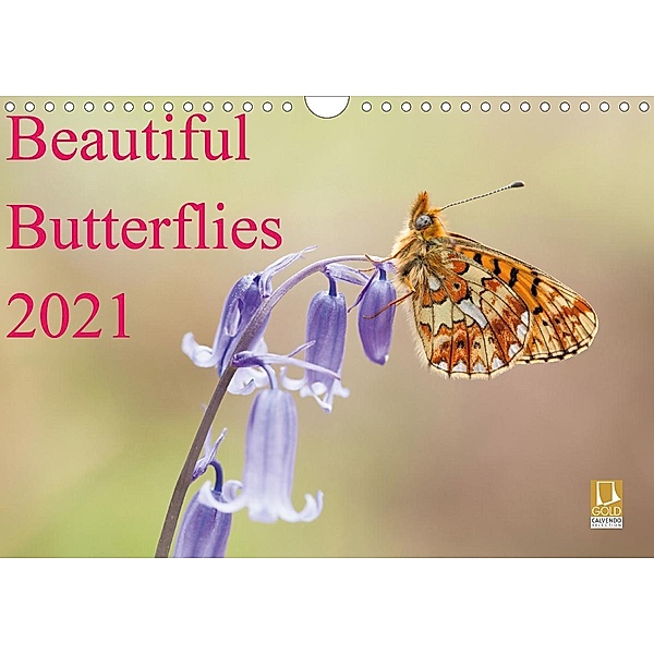 Beautiful Butterflies 2021 (Wall Calendar 2021 DIN A4 Landscape), Phil Corley