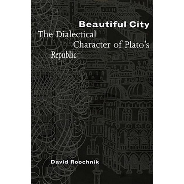 Beautiful City, David Roochnik