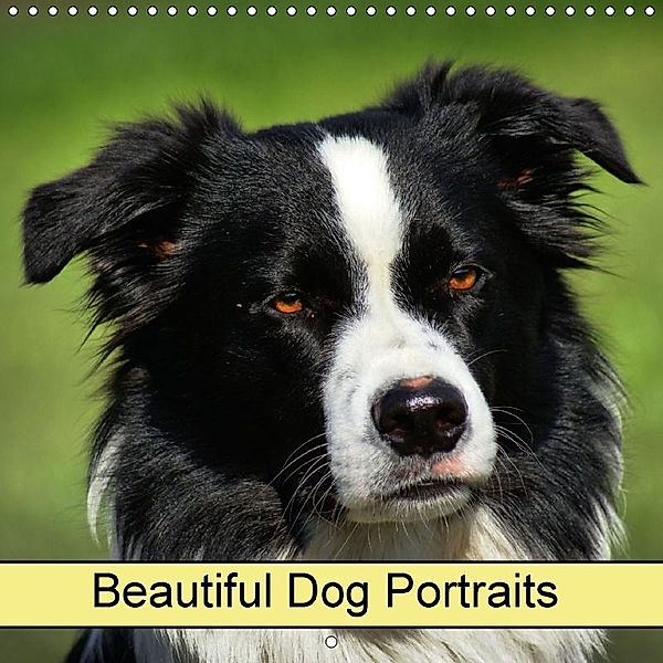 Beautiful Dog Portraits (Wall Calendar 2018 300 × 300 mm Square), kattobello