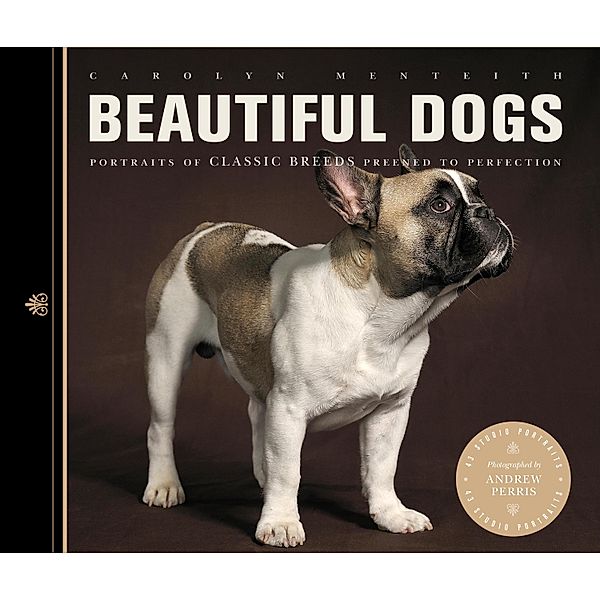 Beautiful Dogs / Beautiful Animals, Carolyn Menteith