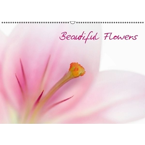 Beautiful Flowers (CH - Version) (Wandkalender 2015 DIN A2 quer), Melanie Viola