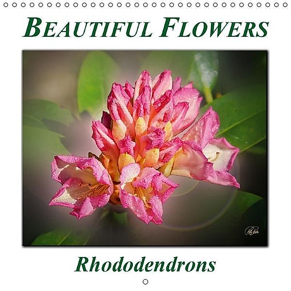 Beautiful flowers - rhododendrons (Wall Calendar 2017 300 × 300 mm Square), Peter Roder