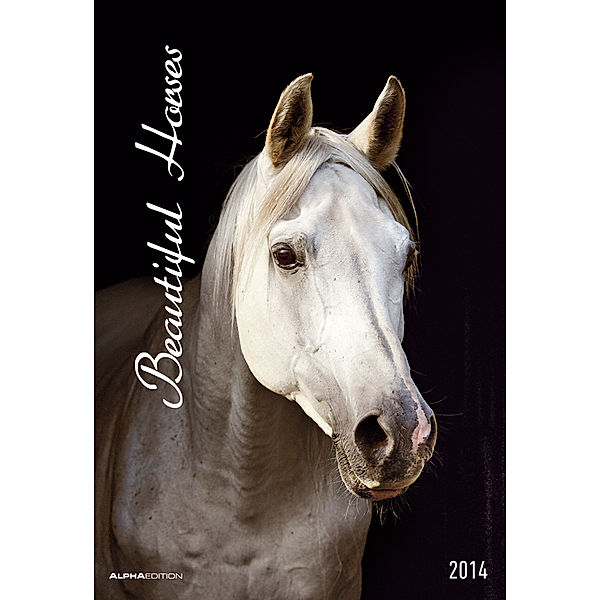 Beautiful Horses 2014