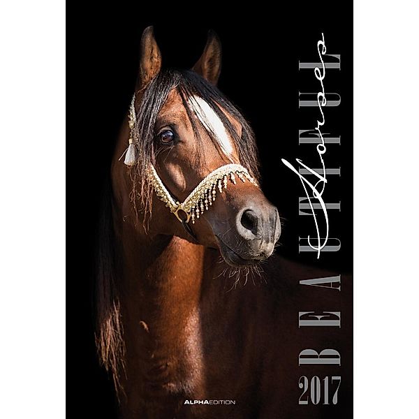 Beautiful Horses 2017, Nicole Hollenstein