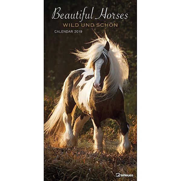 Beautiful Horses - Wild und Schön 2019