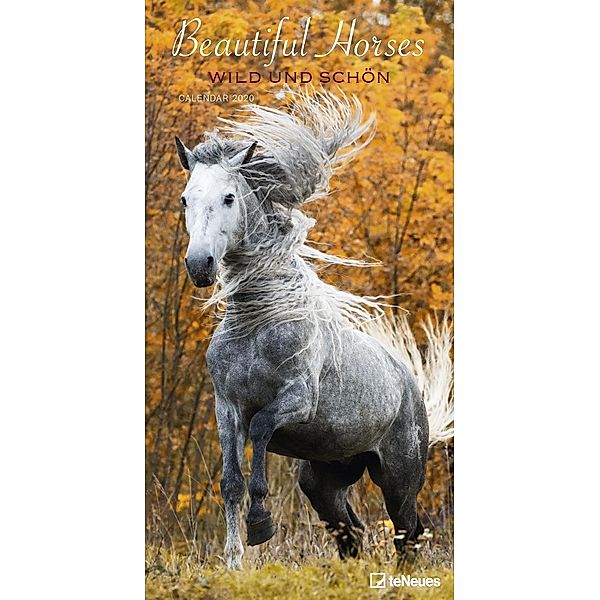 Beautiful Horses - Wild und Schön 2020