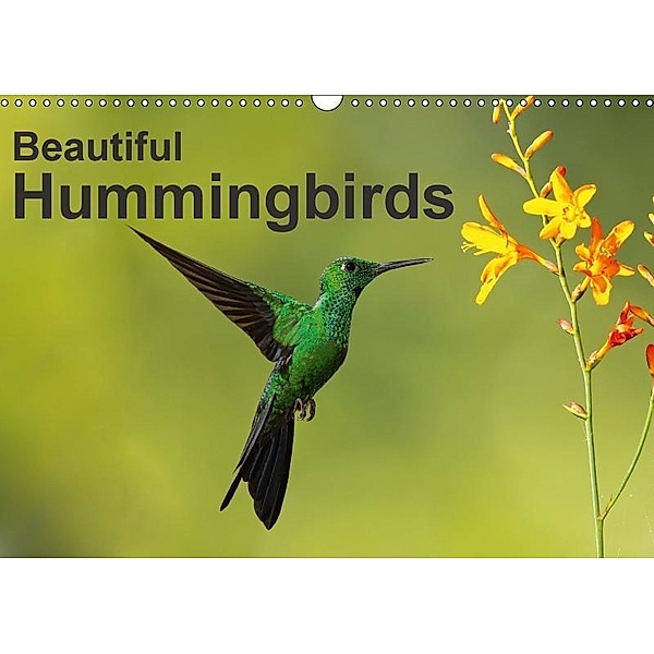 Beautiful Hummingbirds (Wall Calendar 2017 DIN A3 Landscape), Akrema-Photography