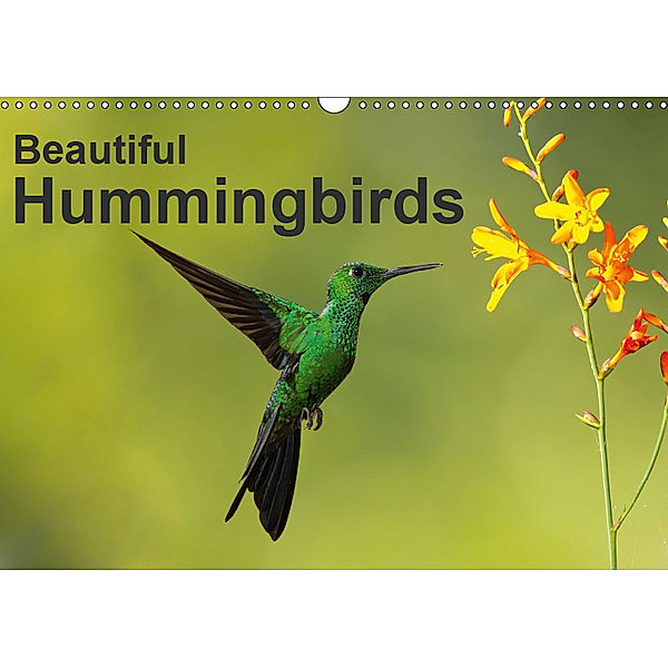 Beautiful Hummingbirds (Wall Calendar 2019 DIN A3 Landscape), Akrema-Photography
